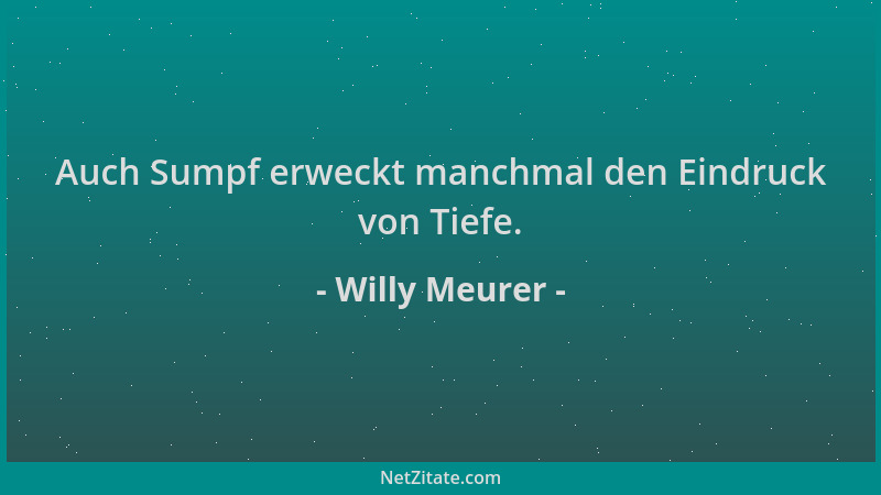 Willy Meurer - Auch Sumpf erweckt manchmal den Eindruck von Tiefe....