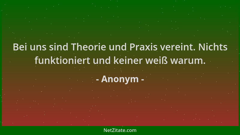 Anonym - Bei uns sind Theorie und Praxis vereint. Nichts funktioniert und keiner weiß warum....