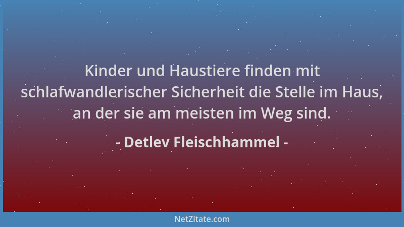 Detlev Fleischhammel - Kinder und Haustiere finden mit schlafwandlerischer Sicherheit die Stelle im Haus, an der sie am mei...