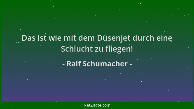 Ralf Schumacher - Das ist wie mit dem Düsenjet durch eine Schlucht zu fliegen!...