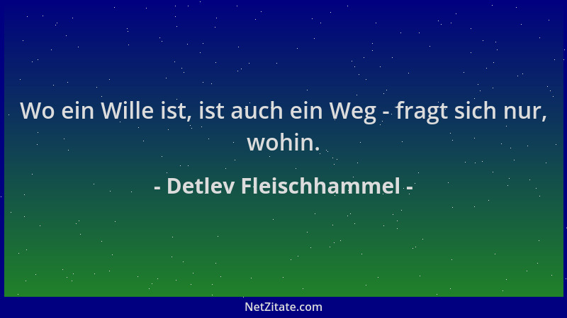 Detlev Fleischhammel - Wo ein Wille ist, ist auch ein Weg - fragt sich nur, wohin....