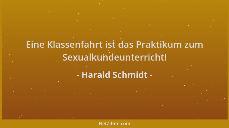 Harald Schmidt - Eine Klassenfahrt ist das Praktikum zum Sexualkundeunterricht!...