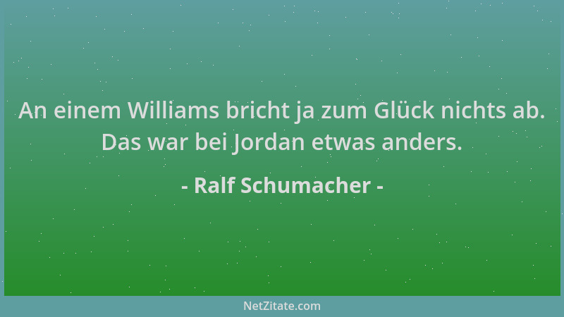 Ralf Schumacher - An einem Williams bricht ja zum Glück nichts ab. Das war bei Jordan etwas anders....