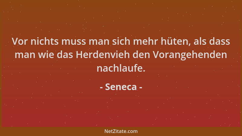 Seneca - Vor nichts muss man sich mehr hüten, als dass man wie das Herdenvieh den Vorangehenden nachlaufe....