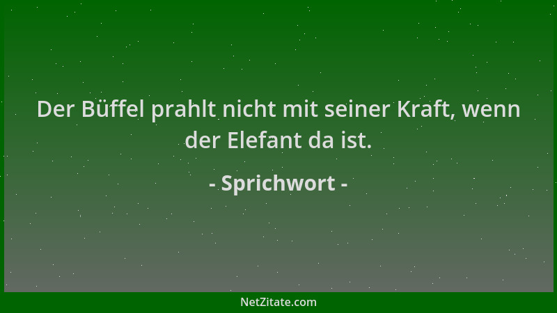 Sprichwort - Der Büffel prahlt nicht mit seiner Kraft, wenn der Elefant da ist....