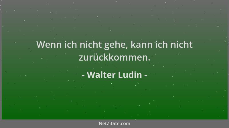 Walter Ludin - Wenn ich nicht gehe, kann ich nicht zurückkommen....