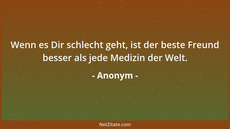 Anonym - Wenn es Dir schlecht geht, ist der beste Freund besser als jede Medizin der Welt....