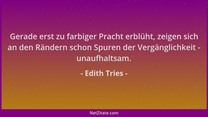 Edith Tries - Gerade erst zu farbiger Pracht erblüht, zeigen sich an den Rändern schon Spuren der Vergänglichkeit - unaufha...