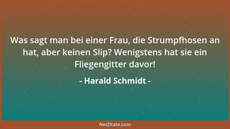 Harald Schmidt - Was sagt man bei einer Frau, die Strumpfhosen an hat, aber keinen Slip? Wenigstens hat sie ein Fliegengitt...