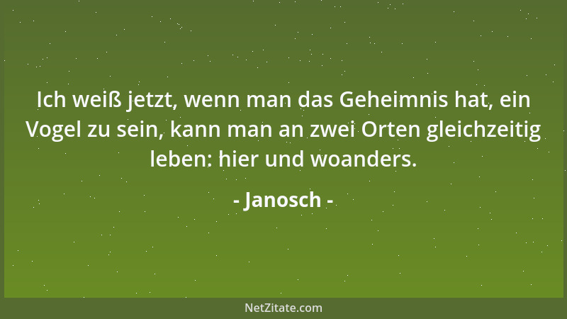Janosch - Ich weiß jetzt, wenn man das Geheimnis hat, ein Vogel zu sein, kann man an zwei Orten gleichzeitig leben: hier un...
