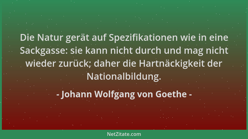 Johann Wolfgang von Goethe - Die Natur gerät auf Spezifikationen wie in eine Sackgasse: sie kann nicht durch und mag nicht...