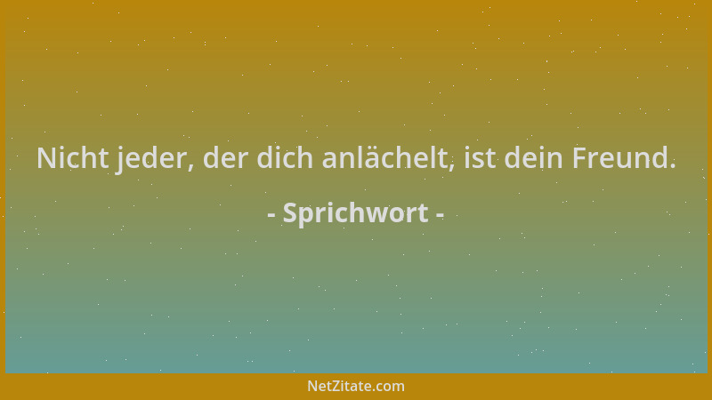 Sprichwort - Nicht jeder, der dich anlächelt, ist dein Freund....