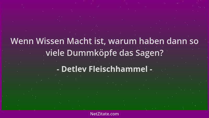 Detlev Fleischhammel - Wenn Wissen Macht ist, warum haben dann so viele Dummköpfe das Sagen?...