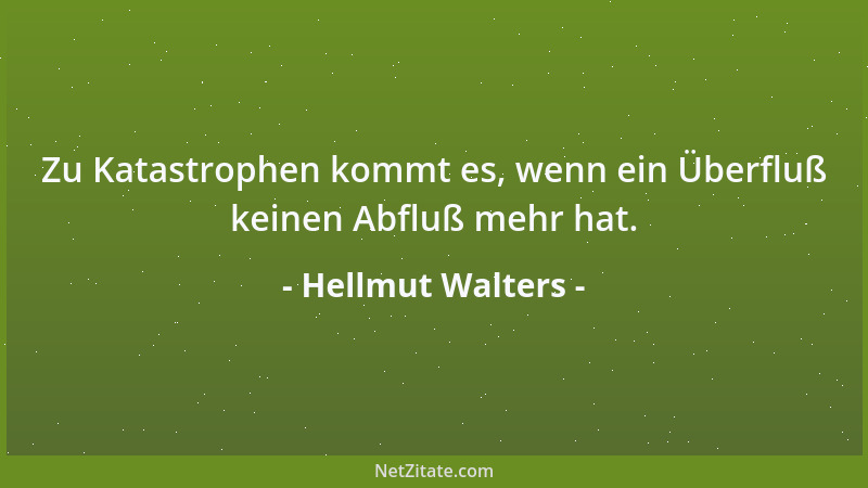 Hellmut Walters - Zu Katastrophen kommt es, wenn ein Überfluß keinen Abfluß mehr hat....