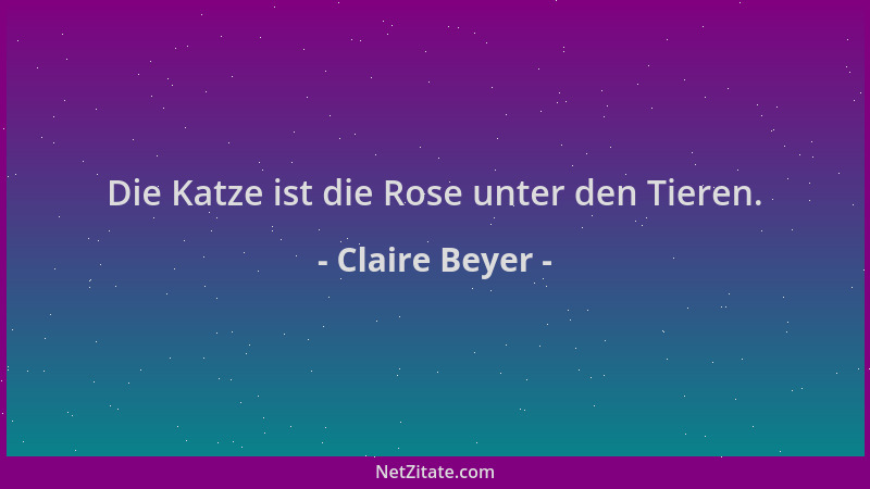 Claire Beyer - Die Katze ist die Rose unter den Tieren....