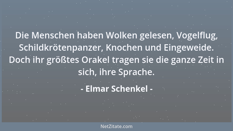 Elmar Schenkel - Die Menschen haben Wolken gelesen, Vogelflug, Schildkrötenpanzer, Knochen und Eingeweide. Doch ihr größtes...