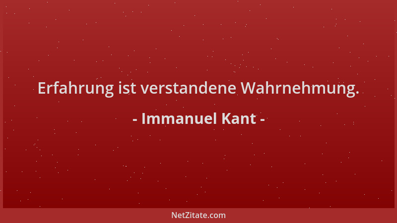 Immanuel Kant - Erfahrung ist verstandene Wahrnehmung....
