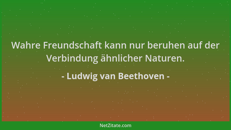 Ludwig van Beethoven - Wahre Freundschaft kann nur beruhen auf der Verbindung ähnlicher Naturen....