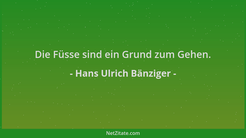 Hans Ulrich Bänziger - Die Füsse sind ein Grund zum Gehen....
