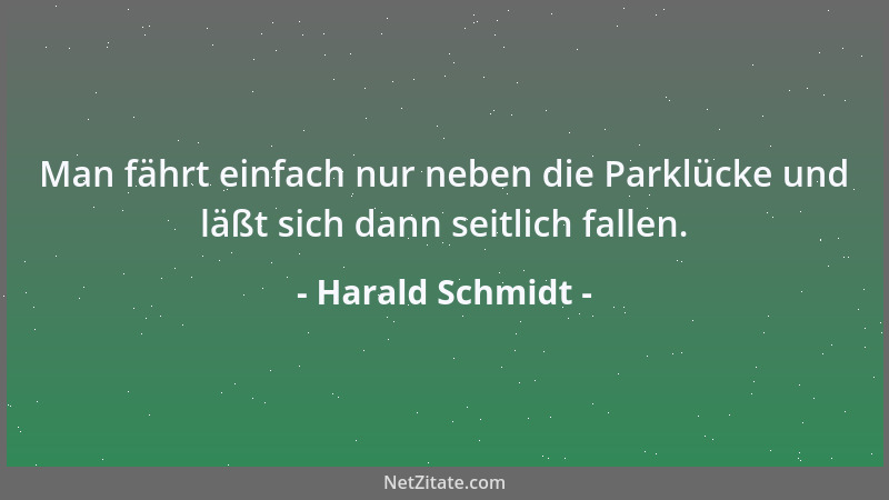 Harald Schmidt - Man fährt einfach nur neben die Parklücke und läßt sich dann seitlich fallen....