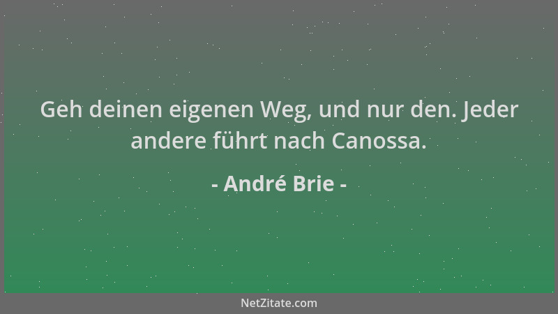 André Brie - Geh deinen eigenen Weg, und nur den. Jeder andere führt nach Canossa....
