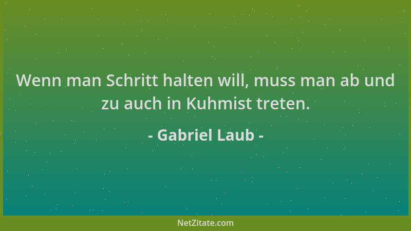 Gabriel Laub - Wenn man Schritt halten will, muss man ab und zu auch in Kuhmist treten....