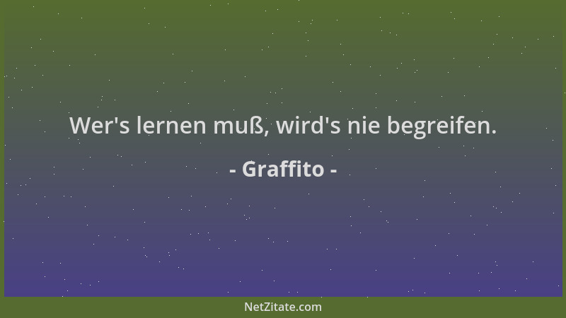 Graffito - Wer 's lernen muß, wird 's nie begreifen....