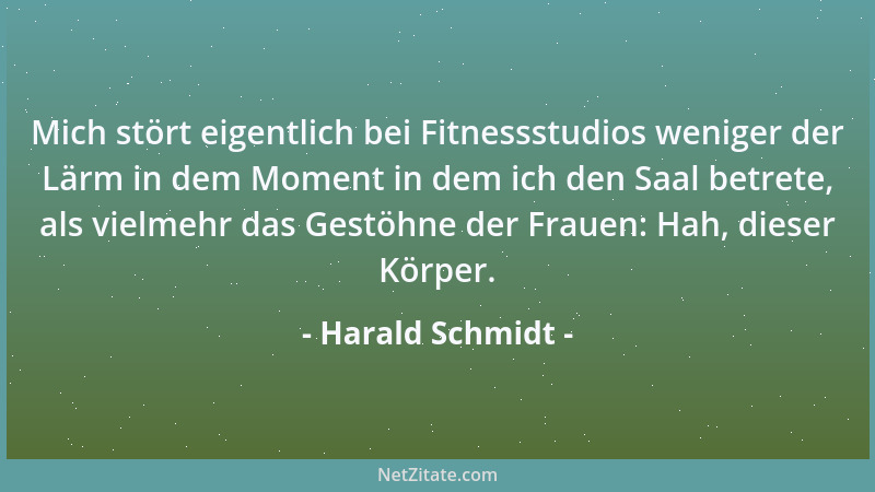 Harald Schmidt - Mich stört eigentlich bei Fitnessstudios weniger der Lärm in dem Moment in dem ich den Saal betrete, als v...