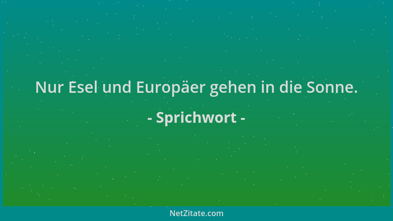 Sprichwort - Nur Esel und Europäer gehen in die Sonne....