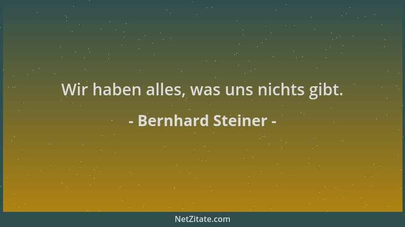Bernhard Steiner - Wir haben alles, was uns nichts gibt....