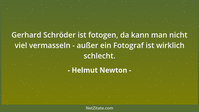 Helmut Newton - Gerhard Schröder ist fotogen, da kann man nicht viel vermasseln - außer ein Fotograf ist wirklich schlecht....