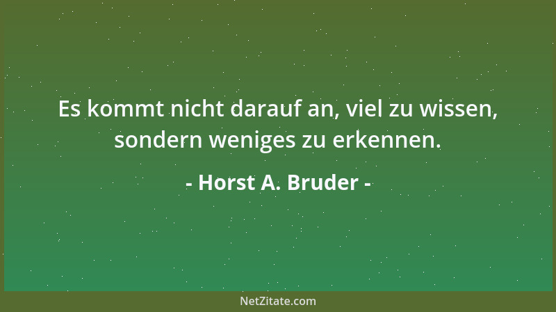 Horst A. Bruder - Es kommt nicht darauf an, viel zu wissen, sondern weniges zu erkennen....