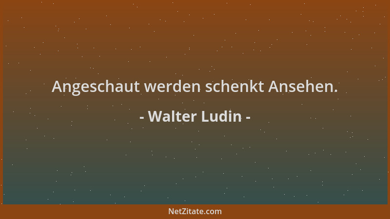 Walter Ludin - Angeschaut werden schenkt Ansehen....