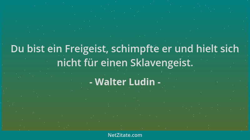 Walter Ludin - Du bist ein Freigeist, schimpfte er und hielt sich nicht für einen Sklavengeist....