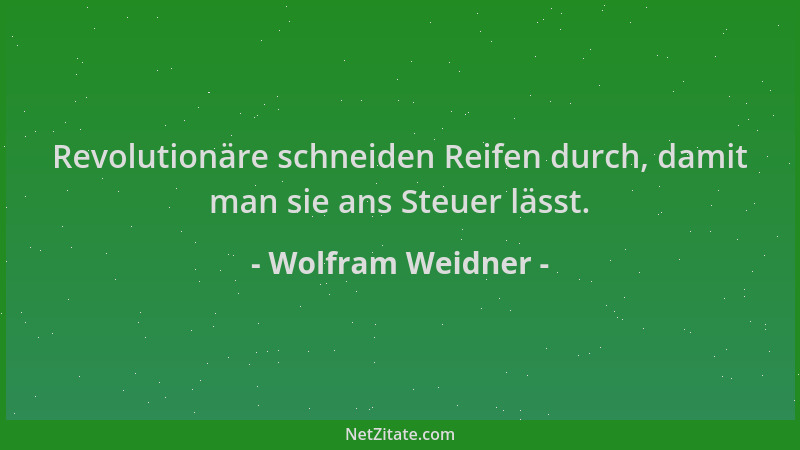 Wolfram Weidner - Revolutionäre schneiden Reifen durch, damit man sie ans Steuer lässt....