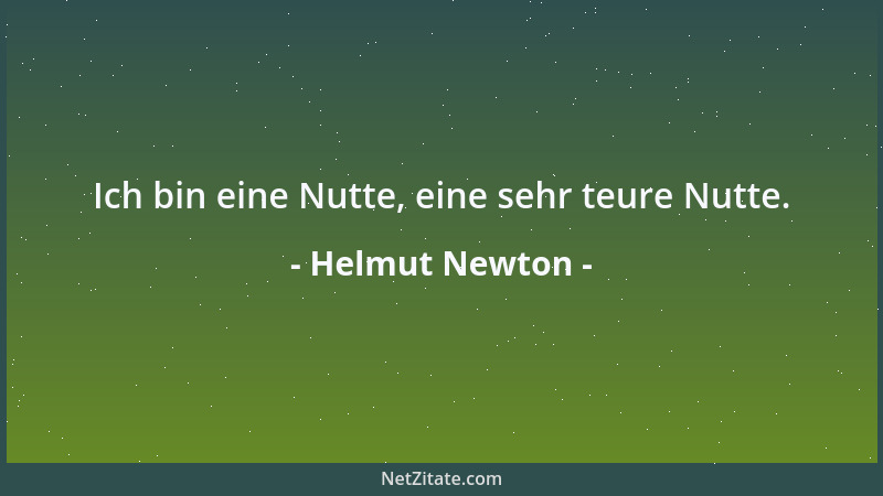 Helmut Newton - Ich bin eine Nutte, eine sehr teure Nutte....