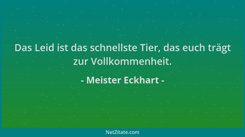 Meister Eckhart - Das Leid ist das schnellste Tier, das euch trägt zur Vollkommenheit....