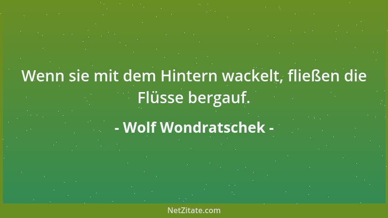 Wolf Wondratschek - Wenn sie mit dem Hintern wackelt, fließen die Flüsse bergauf....