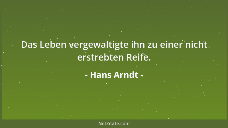 Hans Arndt - Das Leben vergewaltigte ihn zu einer nicht erstrebten Reife....