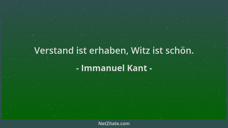 Immanuel Kant - Verstand ist erhaben, Witz ist schön....