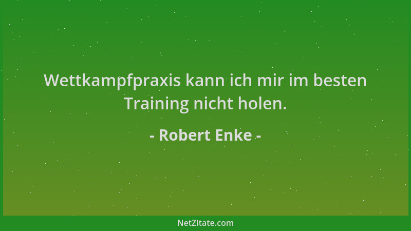 Robert Enke - Wettkampfpraxis kann ich mir im besten Training nicht holen....