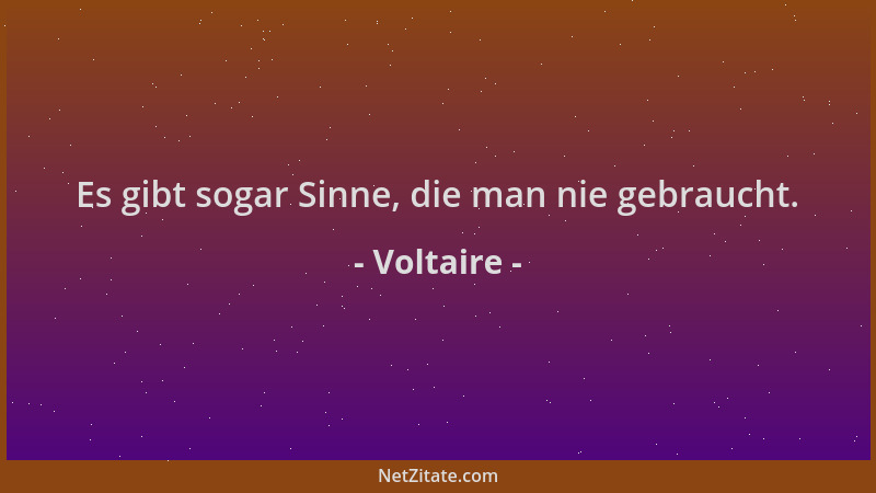 Voltaire - Es gibt sogar Sinne, die man nie gebraucht....