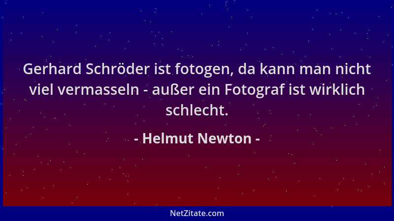 Helmut Newton - Gerhard Schröder ist fotogen, da kann man nicht viel vermasseln - außer ein Fotograf ist wirklich schlecht....