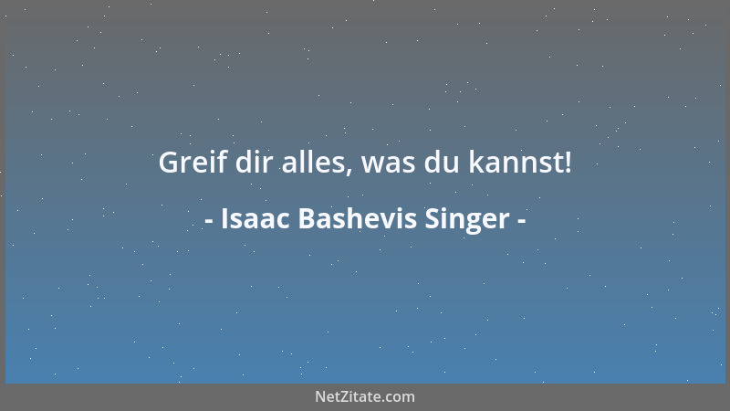Isaac Bashevis Singer - Greif dir alles, was du kannst!...
