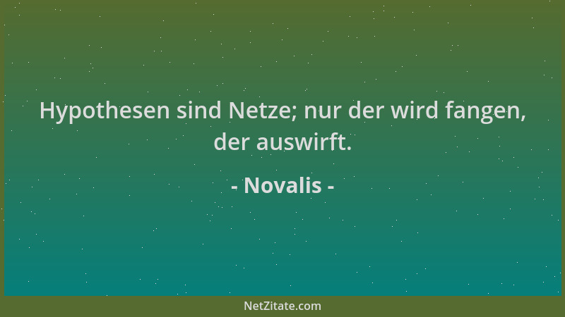 Novalis - Hypothesen sind Netze; nur der wird fangen, der auswirft....