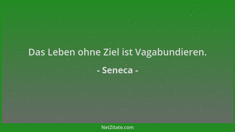 Seneca - Das Leben ohne Ziel ist Vagabundieren....