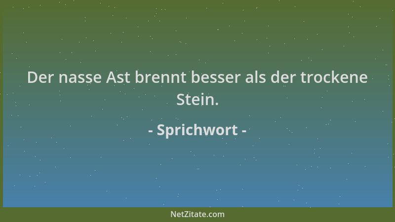 Sprichwort - Der nasse Ast brennt besser als der trockene Stein....