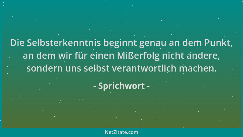 Sprichwort - Die Selbsterkenntnis beginnt genau an dem Punkt, an dem wir für einen Mißerfolg nicht andere, sondern uns selb...