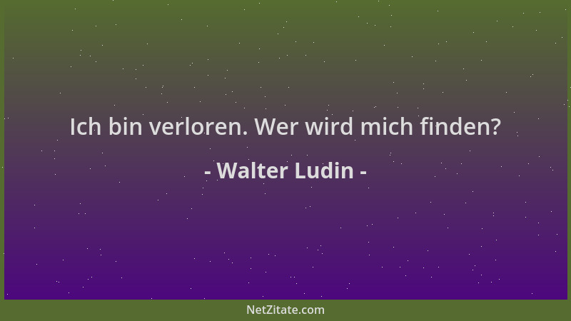 Walter Ludin - Ich bin verloren. Wer wird mich finden?...