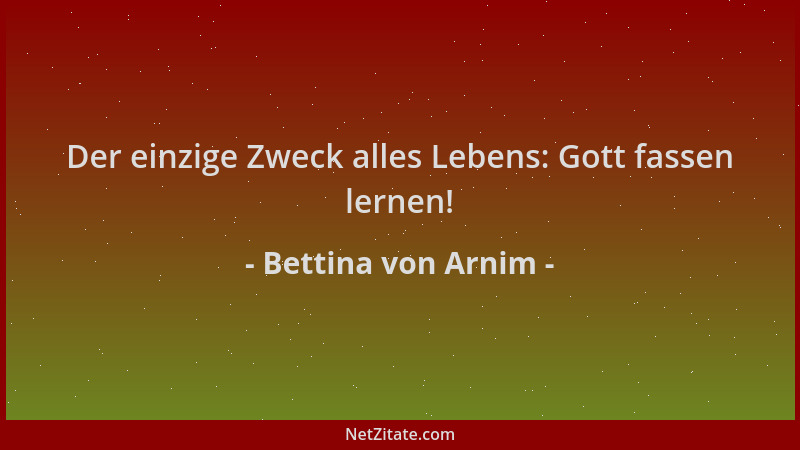 Bettina von Arnim - Der einzige Zweck alles Lebens: Gott fassen lernen!...